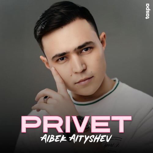 Aibek Aityshev - PRIVET