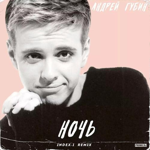 Андрей Губин - Ночь (Index-1 Remix)