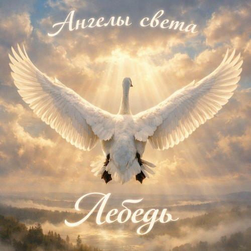 Ангелы света - Лебедь