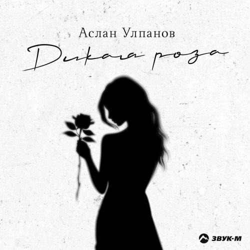 Аслан Улпанов - Дикая роза