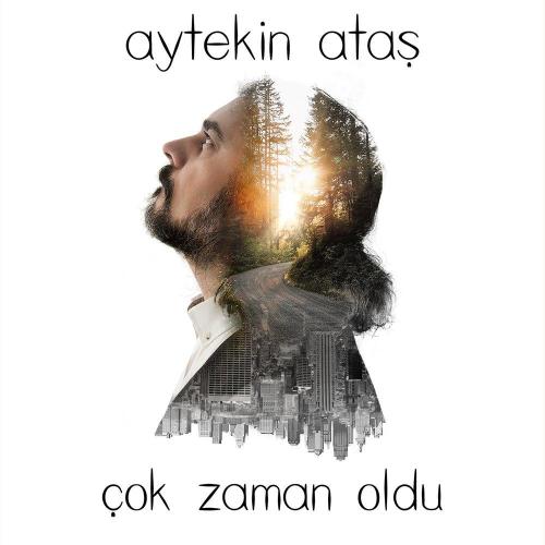 Aytekin Ataş - Söylenmemiş