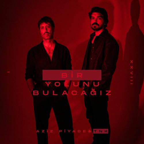 Aziz Piyade & Tnk - Bir Yolunu Bulacağız