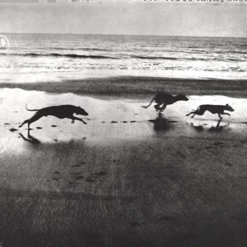 Bella1999 - Переживаем зимы