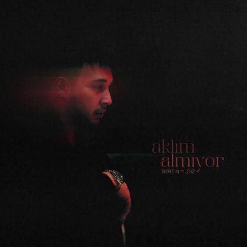 Bertin Yıldız - Aklım Almıyor
