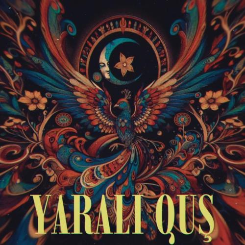 Beyza Doğuç - Yaralı Quş