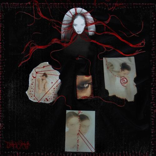 DAKOOKA - Пять стадий принятия