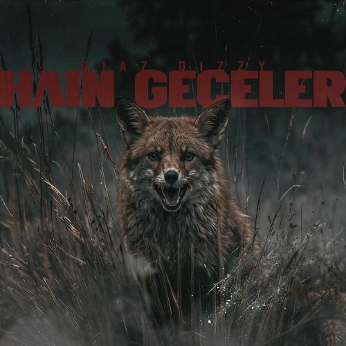 Diaz Dizzy - Hain Geceler