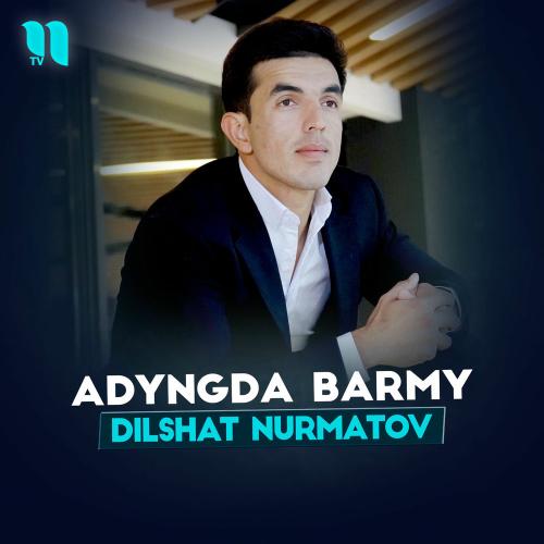 Dilshat Nurmatov - Adyngda Barmy