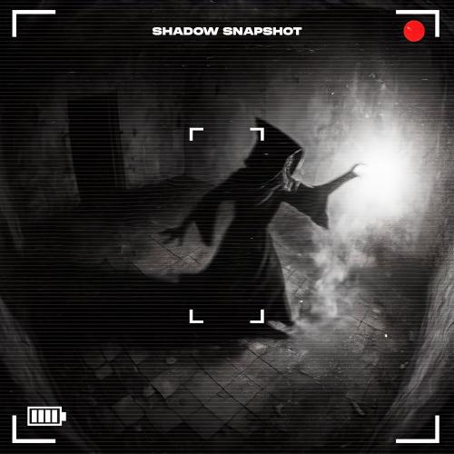 DON BASS MUSIC, LXSTURY - SHADOW SNAPSHOT