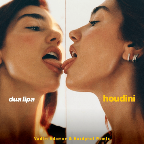 Dua Lipa - Houdini (Vadim Adamov & Hardphol Remix) (Radio Edit)