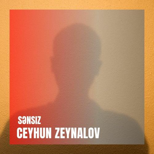 Джейхун Зейналов - Sənsiz