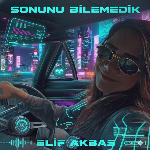 Elif Akbaş - Sonunu Bilemedik