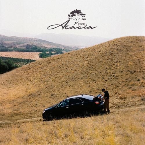 Fardi - Грустный день