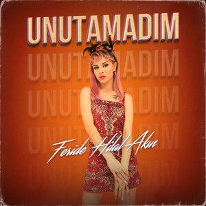 Feride Hilal Akın - Unutamadım