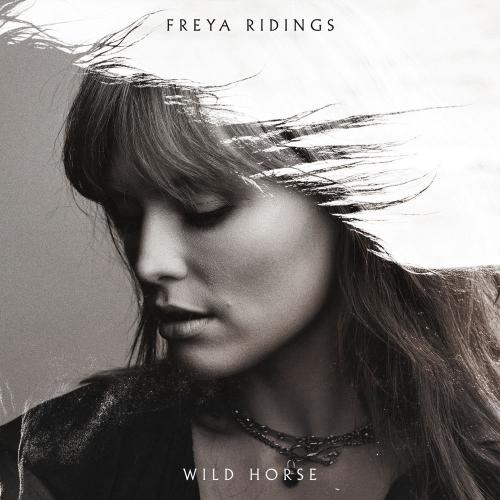 Freya Ridings - Wild Horse