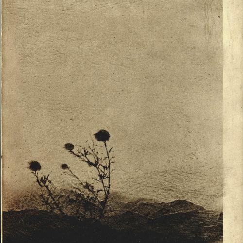 Görkem Sağlam & Suzan Hacigarip - Tesadüf