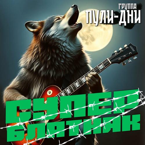 Группа Пули-Дни - Зима лето