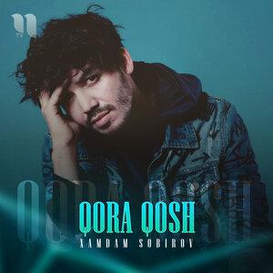Хамдам Собиров - Qora Qosh