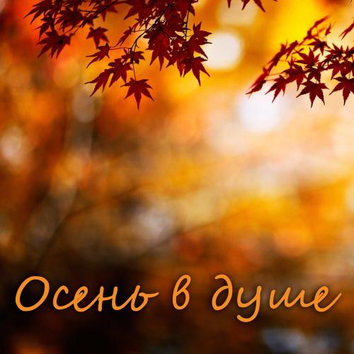 Ivan Dorn - СЖК (Apollo Monkeys Remix)