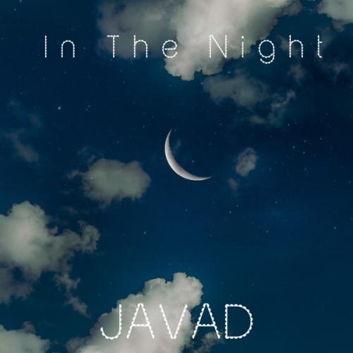 Javad - In the Night