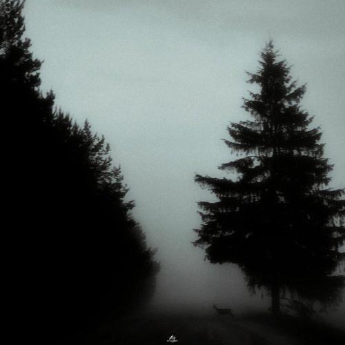 keelse - Боюсь любить