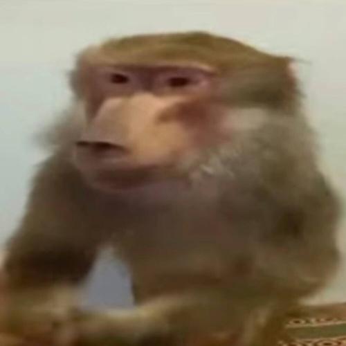 Кишлак - Дыма