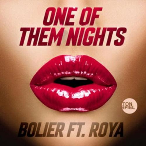 Leon Bolier feat. Roya - One Of Them Nights