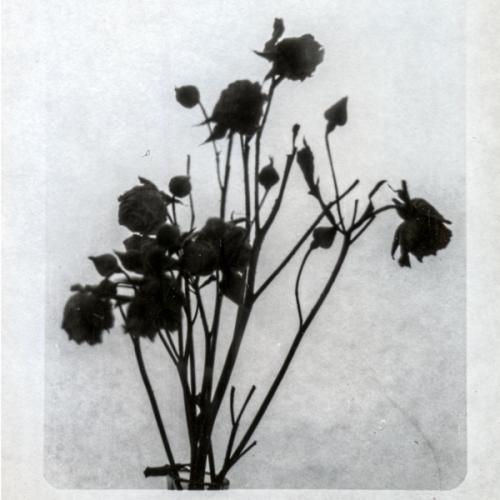 M()eSTRo - Мерцает фонарь