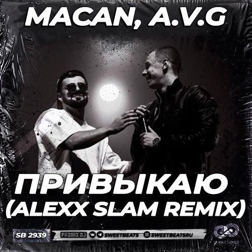 MACAN, A.V.G - Привыкаю (Alexx Slam Radio Edit)