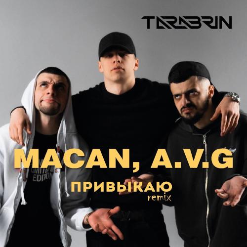 MACAN, A.V.G - Привыкаю (Batishev Remix)