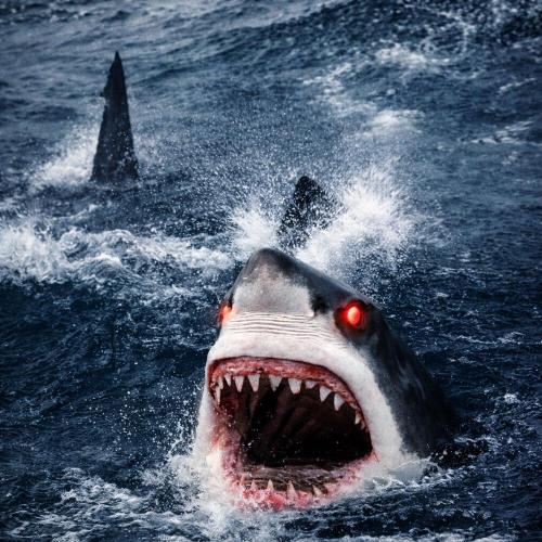 МАНДЕЛА - ПЕРФОМАНС