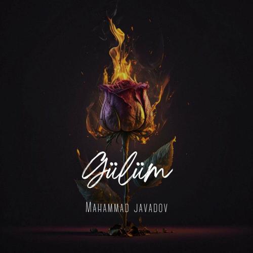 Mehemmed Cavadov - Gülüm