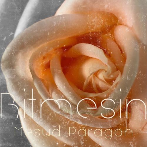 Mesud Paragan - Bitmesin