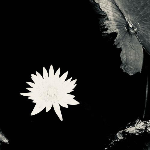 Miyagi & Эндшпиль - Наоборот