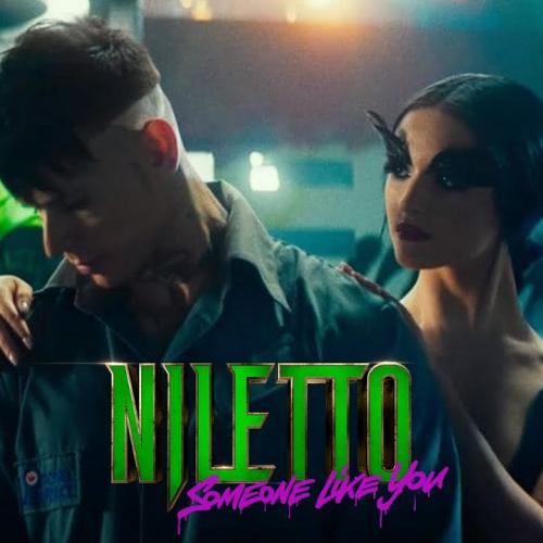 NILETTO - Someone like you (Dmitriy Smarts & Dimon Production Radio Remix)