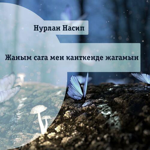 Нурлан Насип - Жаным сага мен канткенде жагамын