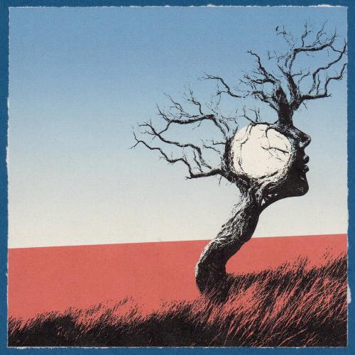 Ollane - Фотография