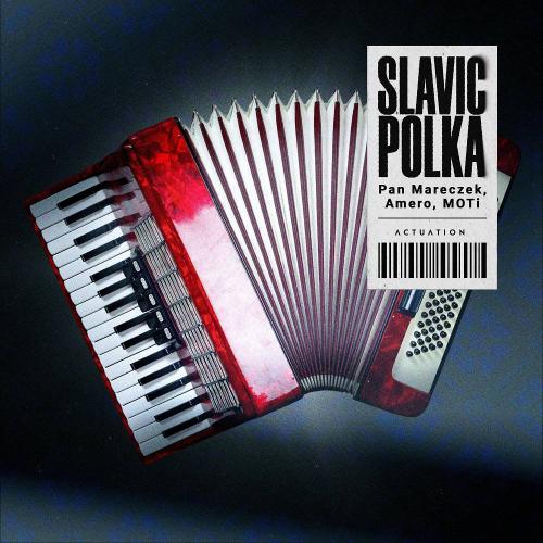 Pan Mareczek & Amero & MOTi - SLAVIC POLKA
