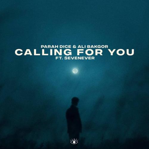 Parah Dice feat. Ali Bakgor & SevenEver - Calling For You