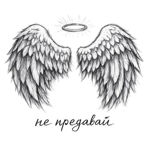 PavLova - не предавай