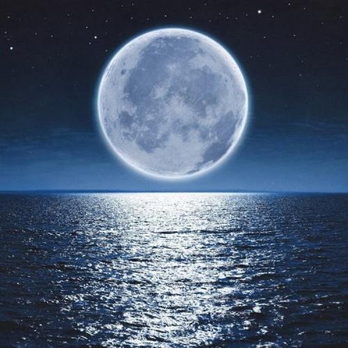 PIZZA - Мерцала