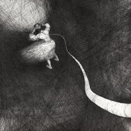 ПОЛЮСА - Смотреть на корабли