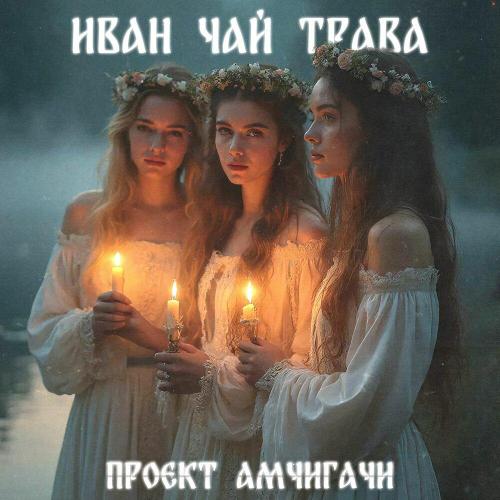 проект Амчигачи - Иван чай трава