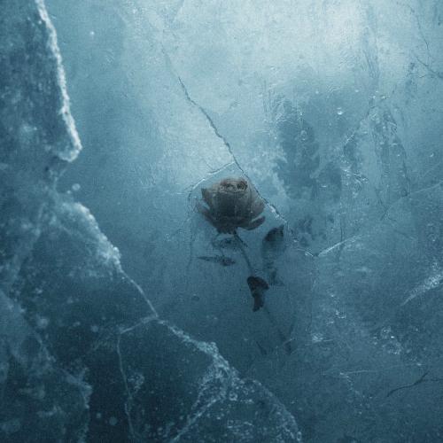 Rei 6 - Vazgeçemiyorum