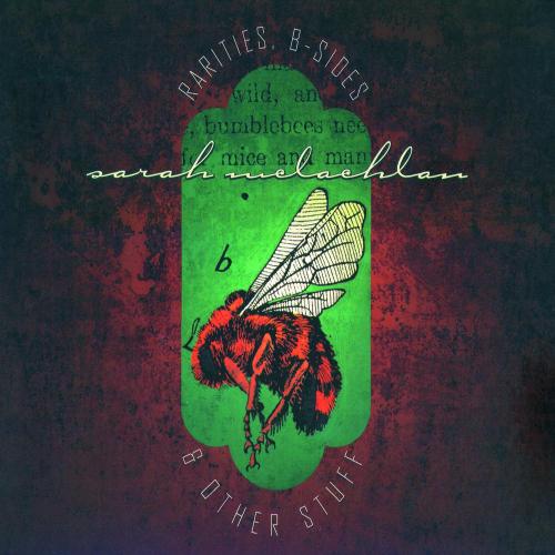 Sarah McLachlan - I Will Remember You