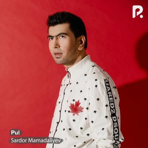 Sardor Mamadaliyev - Pul