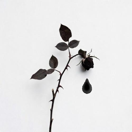 СДП - Упоенье — яд отравы