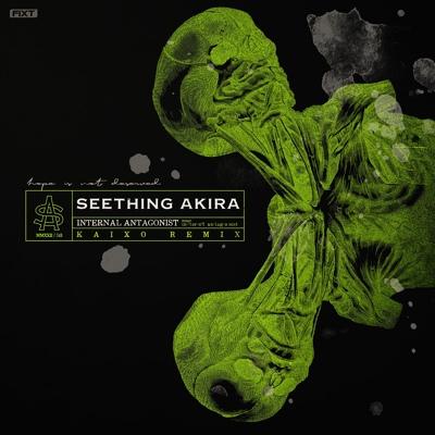 Seething Akira - Internal Antagonist (Kaixo Remix)
