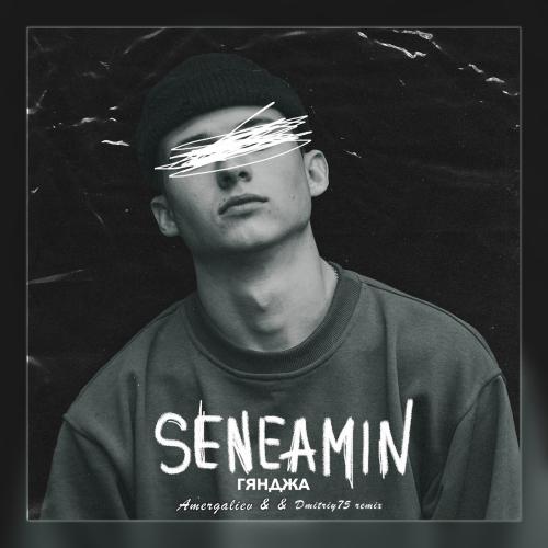 Seneamin & Amergaliev - Гянджа (Amergaliev & Dmitriy75 remix )