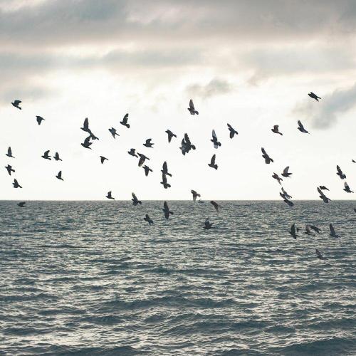 SERGiNiK - Кружится